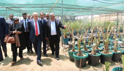 Umweltminister besucht Palmenfarm